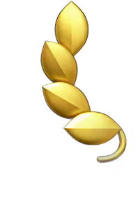 Leaf Icon